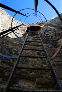 Tower ladder